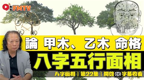 乙木八字|乙木详解：乙木的类象寓意、阴阳属性、特点性质